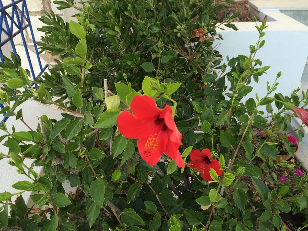 Sea Breeze Hotel Apartments&Residences Chios Monolia Buitenkant foto